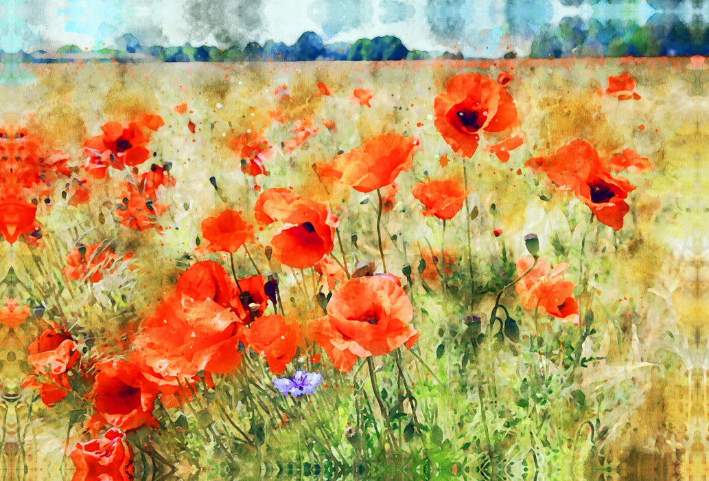 Premium textile canvas Premium textile canvas 120 cm x 80 cm landscape Poppies in a field. 