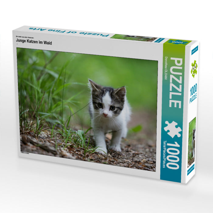 Junge Katzen im Wald - CALVENDO Foto-Puzzle - calvendoverlag 29.99