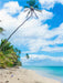 Palmenstrand auf Rarotonga Cook Islands - CALVENDO Foto-Puzzle - calvendoverlag 29.99