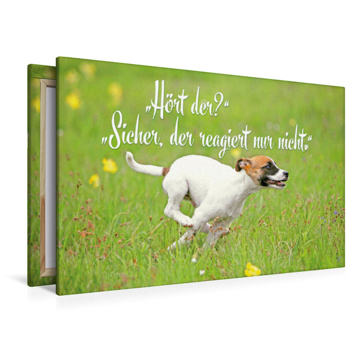 Premium Textil-Leinwand Premium Textil-Leinwand 120 cm x 80 cm quer Jack Russell Terrier Welpe rennt über eine Wiese