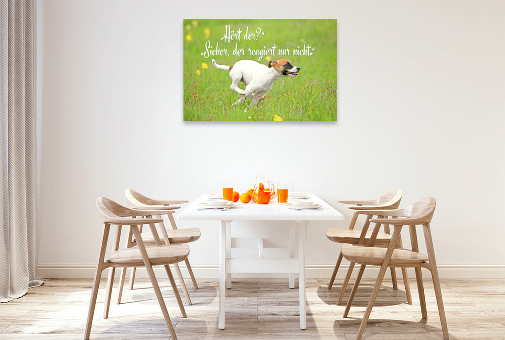 Premium Textil-Leinwand Premium Textil-Leinwand 120 cm x 80 cm quer Jack Russell Terrier Welpe rennt über eine Wiese