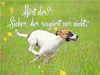 Jack Russell Terrier Welpe rennt über eine Wiese - CALVENDO Foto-Puzzle - calvendoverlag 29.99