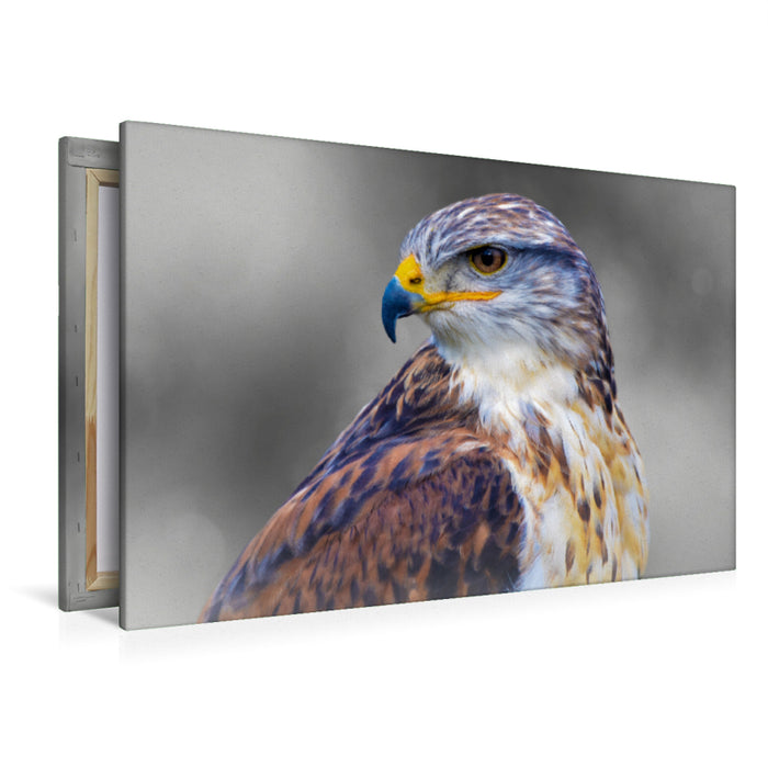 Premium textile canvas Premium textile canvas 120 cm x 80 cm landscape Royal Rough-legged Buzzard 