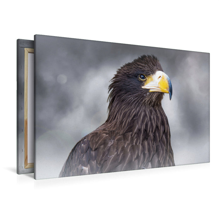 Premium textile canvas Premium textile canvas 120 cm x 80 cm landscape sea eagle 