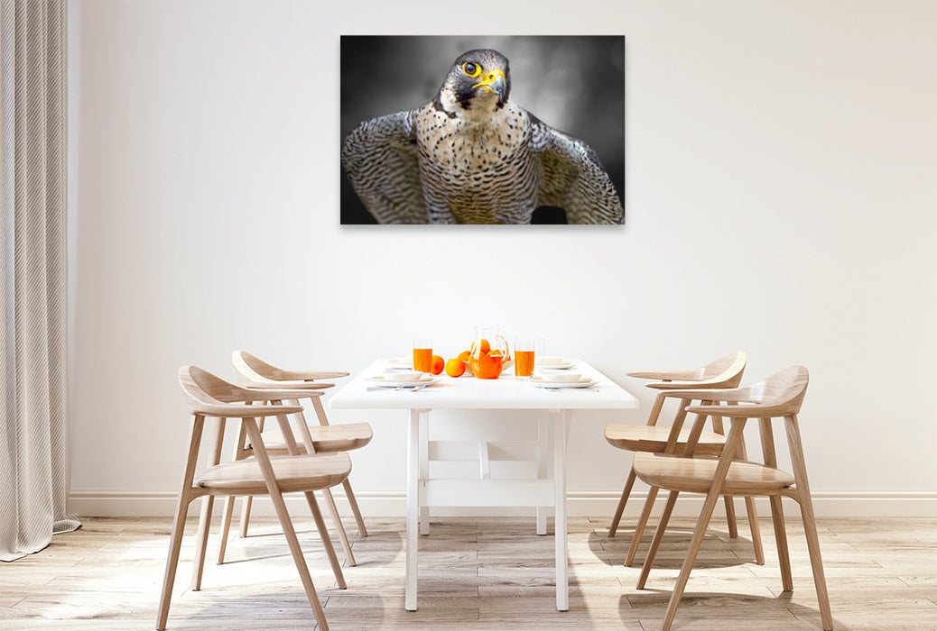 Premium textile canvas Premium textile canvas 120 cm x 80 cm landscape peregrine falcon 