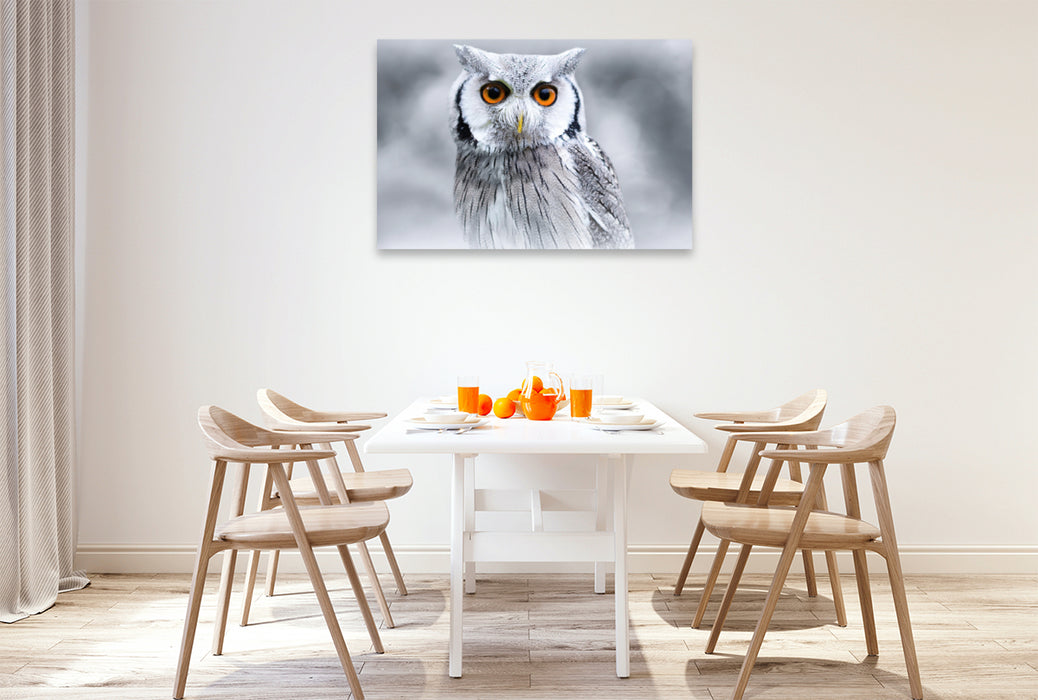 Premium textile canvas Premium textile canvas 120 cm x 80 cm landscape white-faced owl 