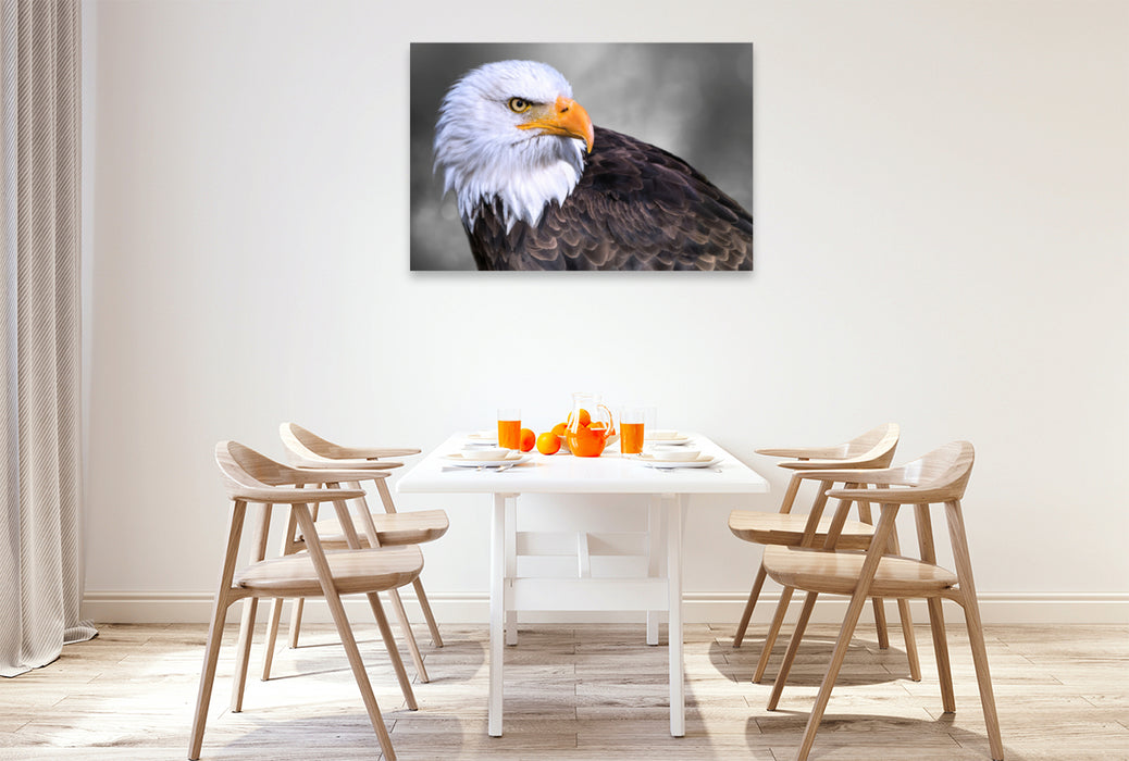 Premium Textil-Leinwand Premium Textil-Leinwand 120 cm x 80 cm quer Weißkopfseeadler