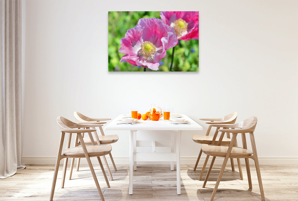 Premium textile canvas Premium textile canvas 120 cm x 80 cm landscape poppy portrait 