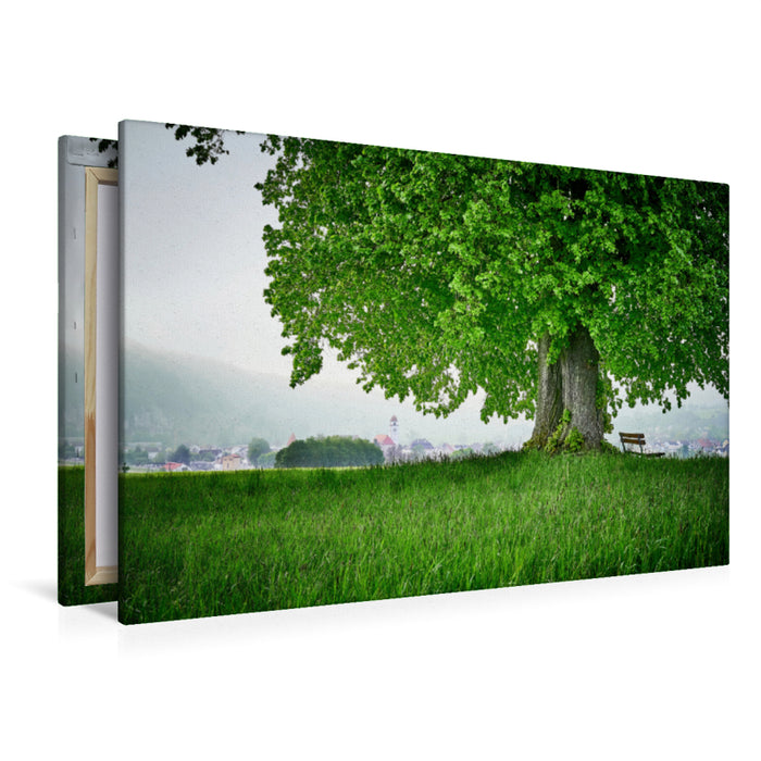 Premium textile canvas Premium textile canvas 120 cm x 80 cm landscape Linden tree in front of Dollnstein 