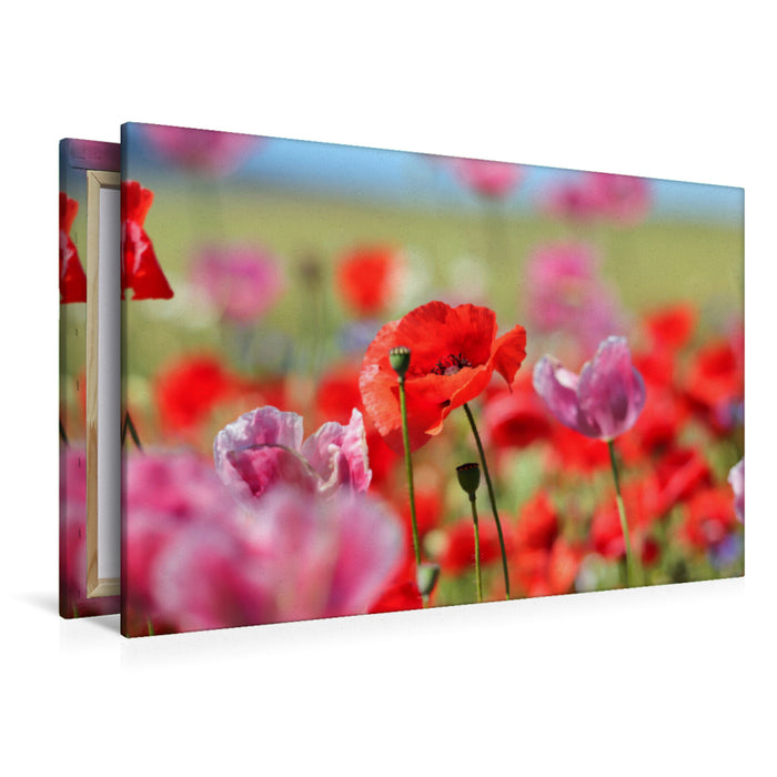 Premium textile canvas Premium textile canvas 120 cm x 80 cm landscape poppies 