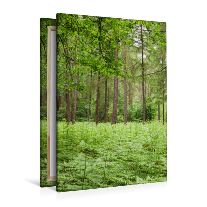 Premium textile canvas Premium textile canvas 80 cm x 120 cm high Eifel - Green energy for forest bathing. 