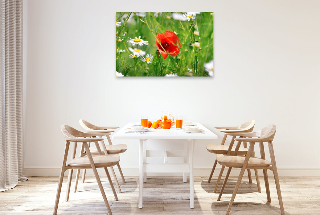 Premium textile canvas Premium textile canvas 120 cm x 80 cm landscape Red poppies and daisies 