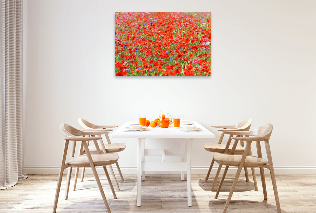 Premium textile canvas Premium textile canvas 120 cm x 80 cm landscape Red sea of ​​flowers 