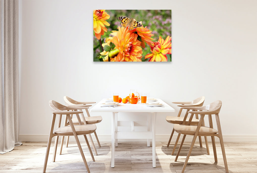 Premium textile canvas Premium textile canvas 120 cm x 80 cm landscape Painted lady on dahlia 