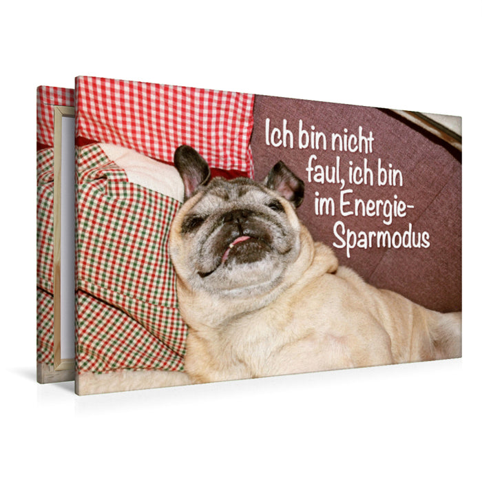 Premium Textil-Leinwand Premium Textil-Leinwand 120 cm x 80 cm quer Ich bin nicht faul, ich bin im Energie-Sparmodus.