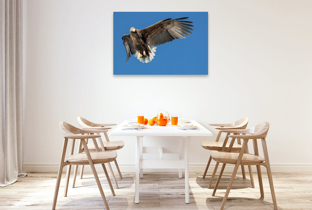 Premium textile canvas Premium textile canvas 120 cm x 80 cm landscape sea eagle 