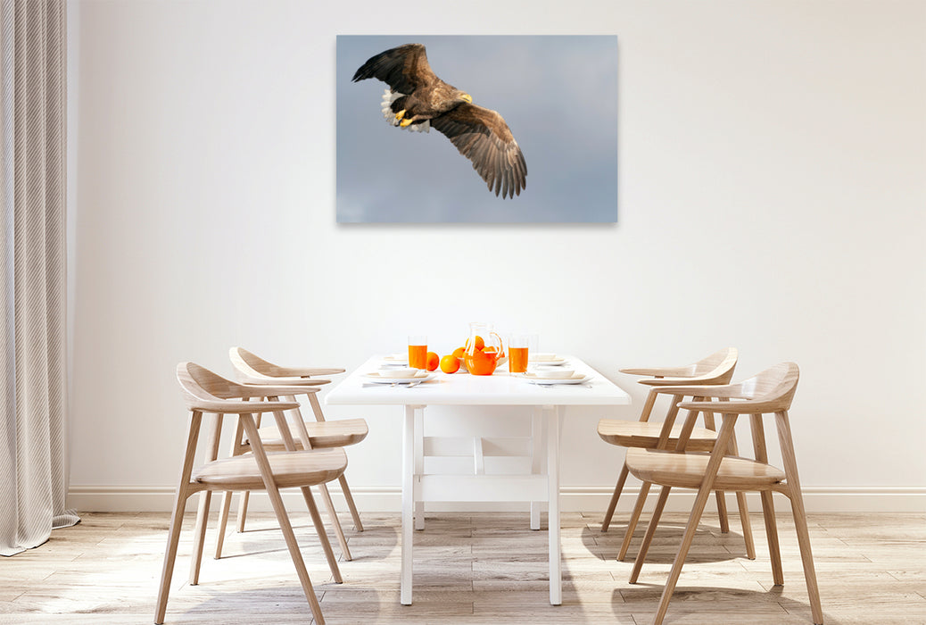 Premium textile canvas Premium textile canvas 120 cm x 80 cm landscape sea eagle 