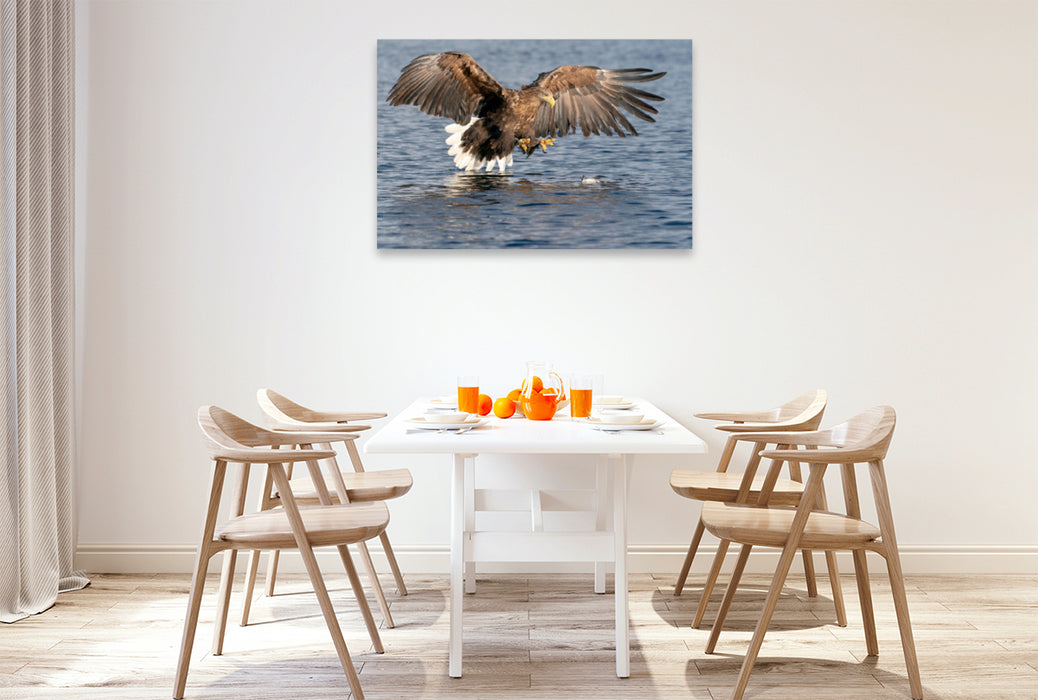 Premium textile canvas Premium textile canvas 120 cm x 80 cm landscape sea eagle 