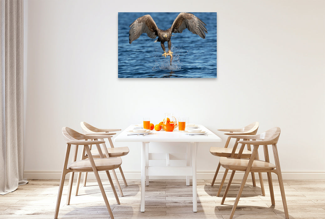 Premium textile canvas Premium textile canvas 120 cm x 80 cm landscape sea eagle 