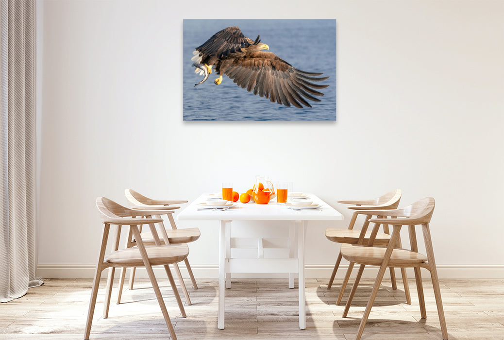 Premium textile canvas Premium textile canvas 120 cm x 80 cm landscape sea eagle 