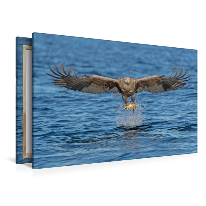 Premium textile canvas Premium textile canvas 120 cm x 80 cm landscape sea eagle 