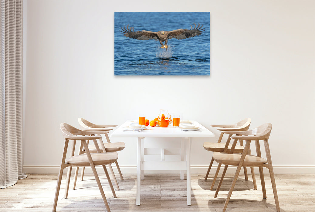 Premium textile canvas Premium textile canvas 120 cm x 80 cm landscape sea eagle 