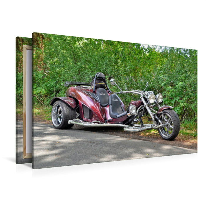 Premium textile canvas Premium textile canvas 120 cm x 80 cm landscape BOOM Mustang-Advance Plus 