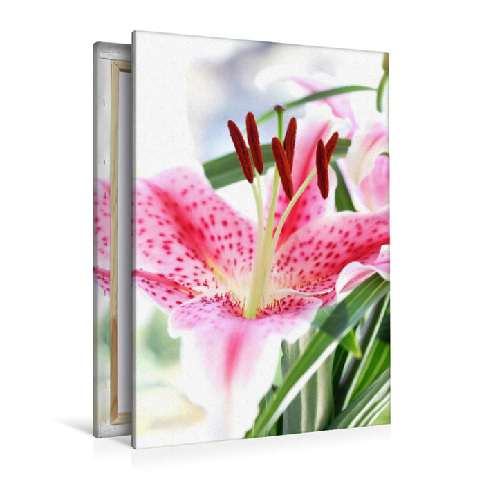 Premium Textil-Leinwand Premium Textil-Leinwand 80 cm x 120 cm  hoch Lilienblüte in feurigem Pink-Rot