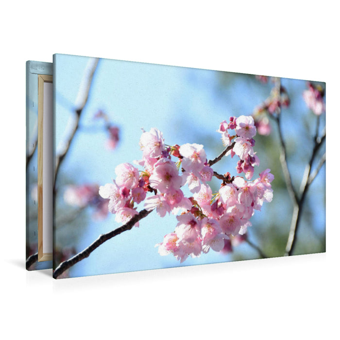 Premium Textil-Leinwand Premium Textil-Leinwand 120 cm x 80 cm quer Ein Motiv aus dem Kalender Die Kirschblüte in Japan