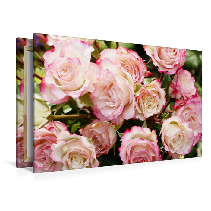 Premium textile canvas Premium textile canvas 120 cm x 80 cm landscape Pretty bouquet of roses in delicate pink 