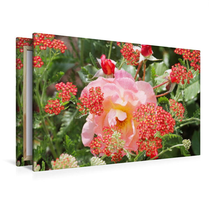 Premium textile canvas Premium textile canvas 120 cm x 80 cm landscape pink rose with red yarrow 