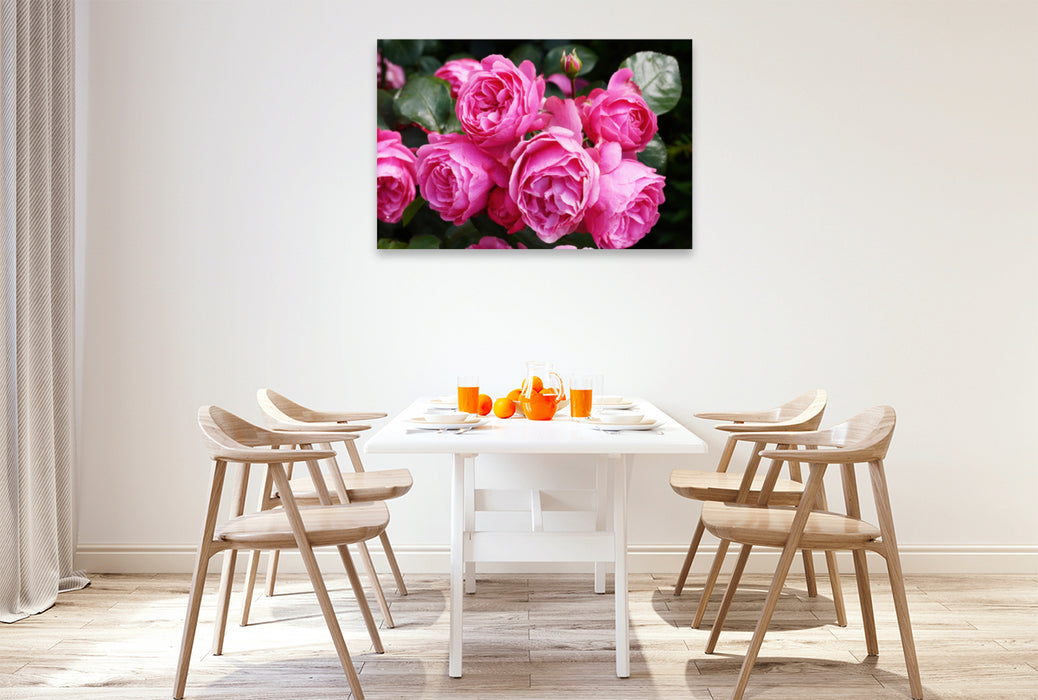 Premium textile canvas Premium textile canvas 120 cm x 80 cm landscape Rose Leonardo da Vinci in rich pink 