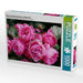 Rose Leonardo da Vinci in sattem Pink - CALVENDO Foto-Puzzle - calvendoverlag 29.99