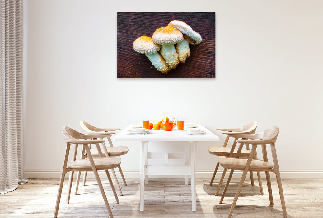 Premium textile canvas Premium textile canvas 120 cm x 80 cm landscape Hemipholiota populnea 