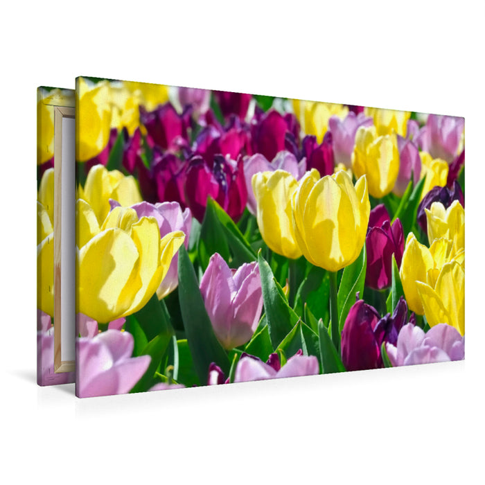 Premium textile canvas Premium textile canvas 120 cm x 80 cm landscape Near tulip magic 