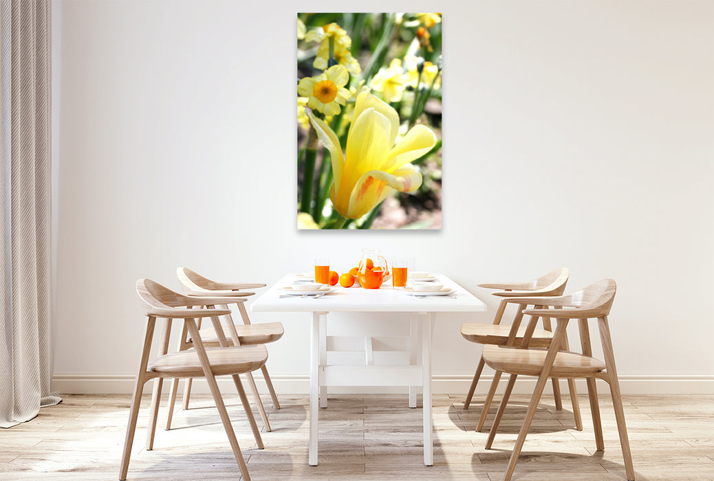 Premium textile canvas Premium textile canvas 80 cm x 120 cm high Soft yellow tulip with daffodils 