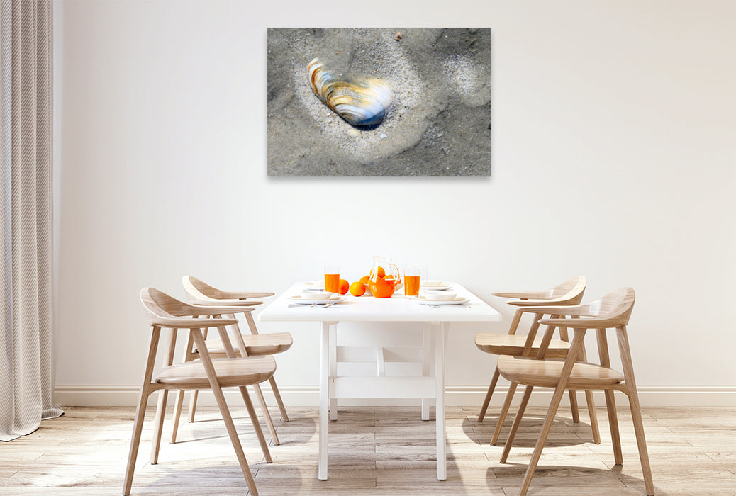 Premium textile canvas Premium textile canvas 120 cm x 80 cm landscape Magnificent play of colors of a shell on the beach 