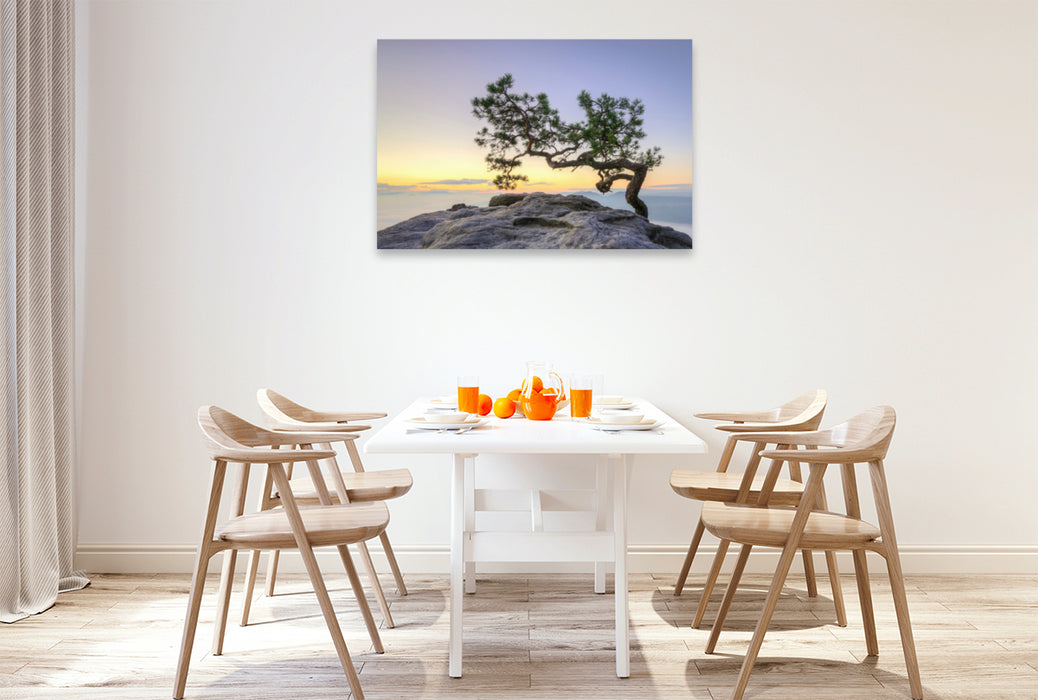 Premium textile canvas Premium textile canvas 120 cm x 80 cm landscape Pine on the Lilienstein 