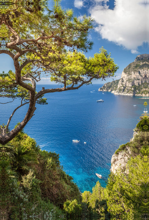 Premium textile canvas Premium textile canvas 80 cm x 120 cm high View of Punta de Masullo on Capri 