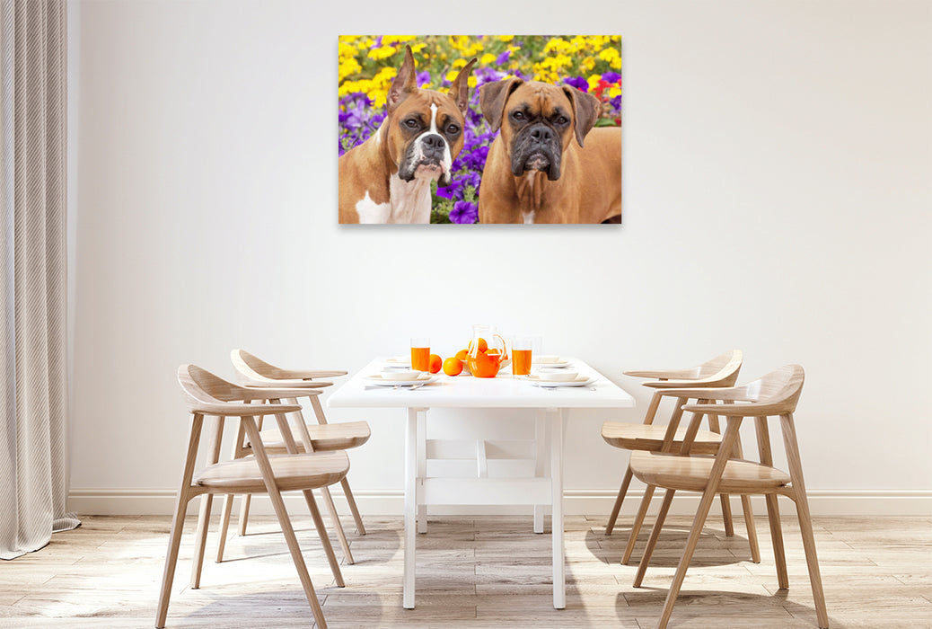 Toile textile haut de gamme Toile textile haut de gamme 120 cm x 80 cm paysage Deux chiens de la race Boxer regardent attentivement. 