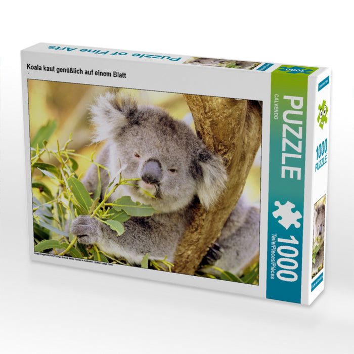 Koala kaut genüßlich auf einem Blatt - CALVENDO Foto-Puzzle - calvendoverlag 29.99