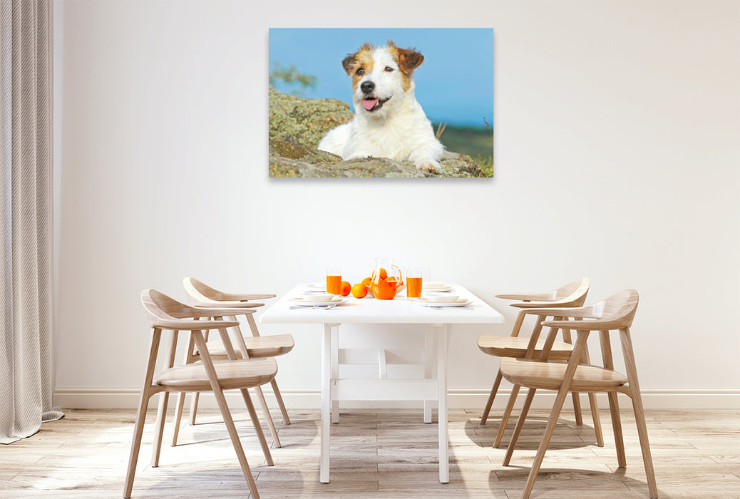 Premium Textil-Leinwand Premium Textil-Leinwand 120 cm x 80 cm quer Jack Russell Terrier verschnauft auf einem Felsen.