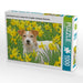 Jack Russell Terrier in einem Feld voll gelber, blühender Narzissen. - CALVENDO Foto-Puzzle - calvendoverlag 29.99
