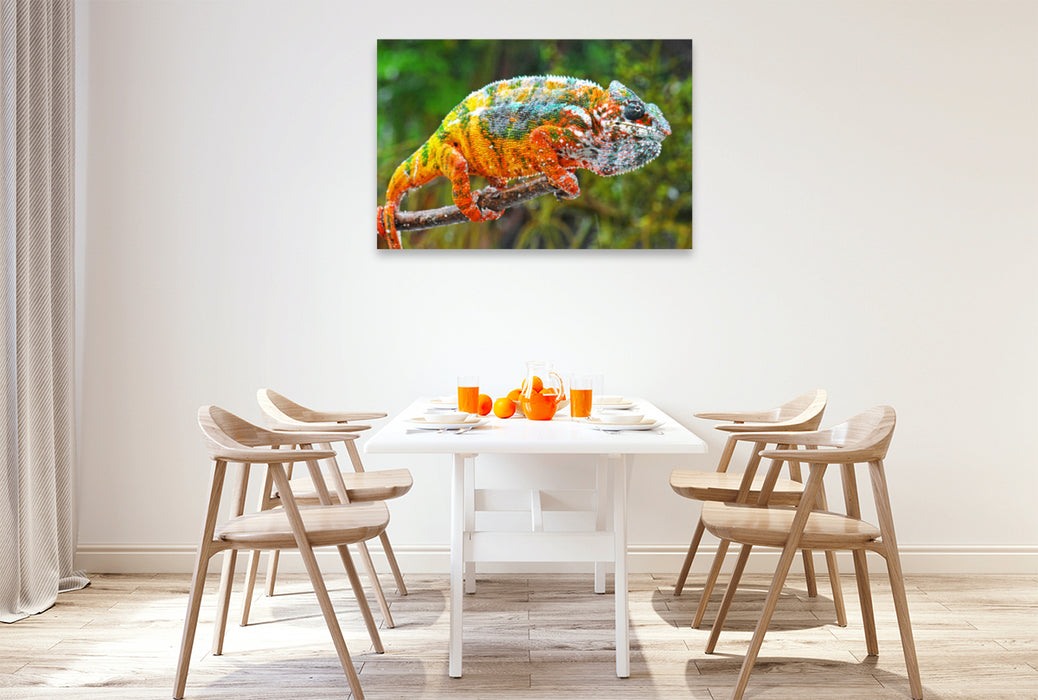 Premium textile canvas Premium textile canvas 120 cm x 80 cm landscape panther chameleon in all the bright colors of the rainbow. 