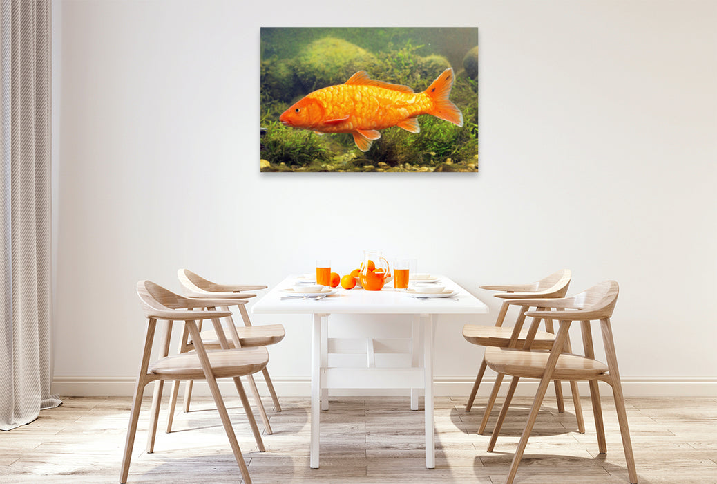 Premium textile canvas Premium textile canvas 120 cm x 80 cm landscape Koi brocade carp with reflective scales. 