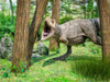 Tyrannosaurus - CALVENDO Foto-Puzzle - calvendoverlag 49.99