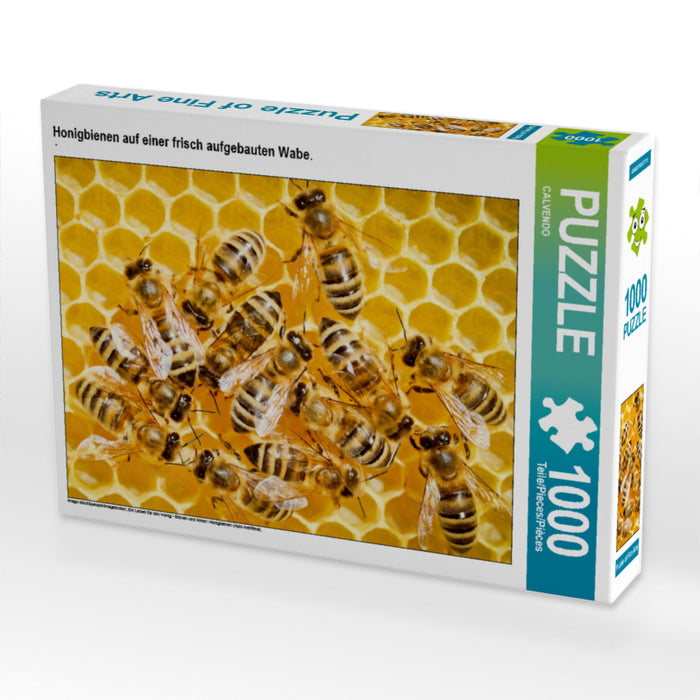 Honigbienen auf einer frisch aufgebauten Wabe. - CALVENDO Foto-Puzzle - calvendoverlag 29.99