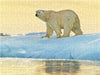 Prächtiger Eisbär vor einem leuchtenden Sonnenuntergang. - CALVENDO Foto-Puzzle - calvendoverlag 29.99