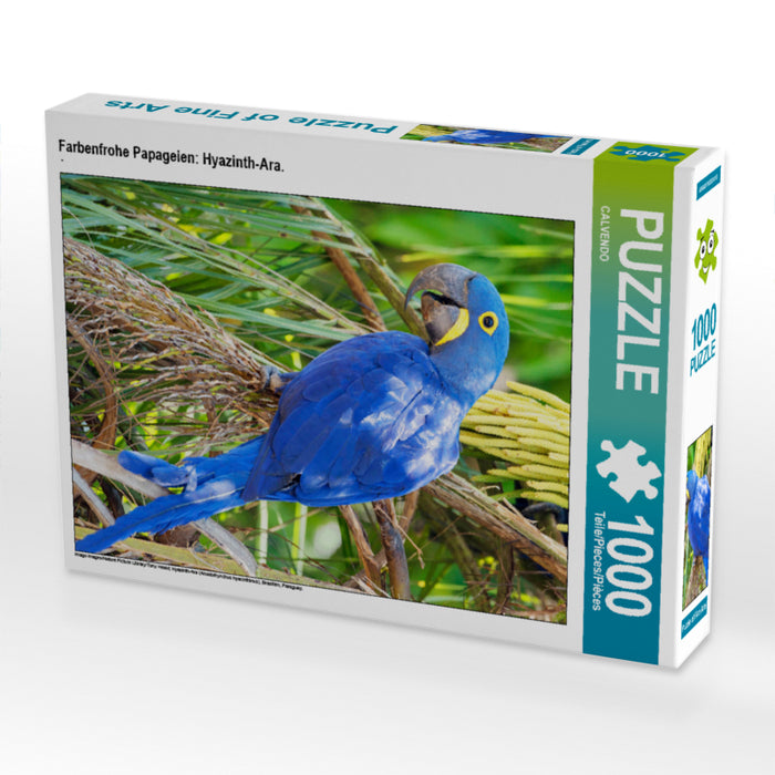 Farbenfrohe Papageien: Hyazinth-Ara. - CALVENDO Foto-Puzzle - calvendoverlag 29.99