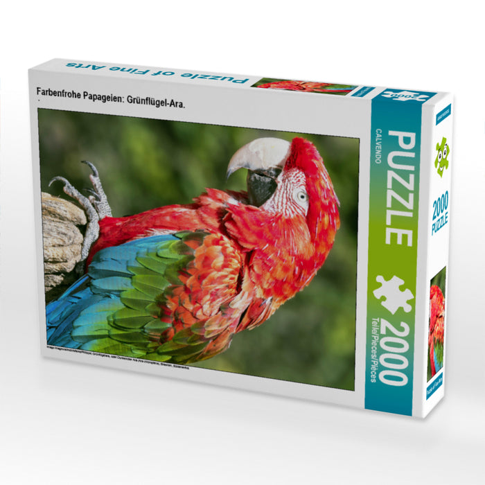 Farbenfrohe Papageien: Grünflügel-Ara. - CALVENDO Foto-Puzzle - calvendoverlag 29.99